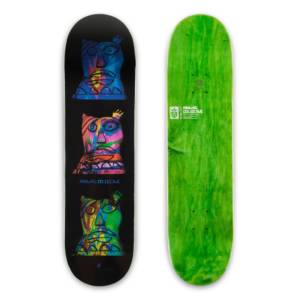 animalcollectiveskateboard3